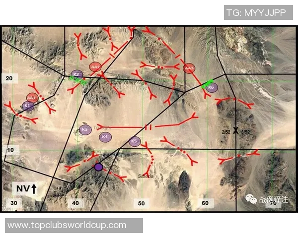 EDG在世界冠军杯中的灵活战术解析与表现评估