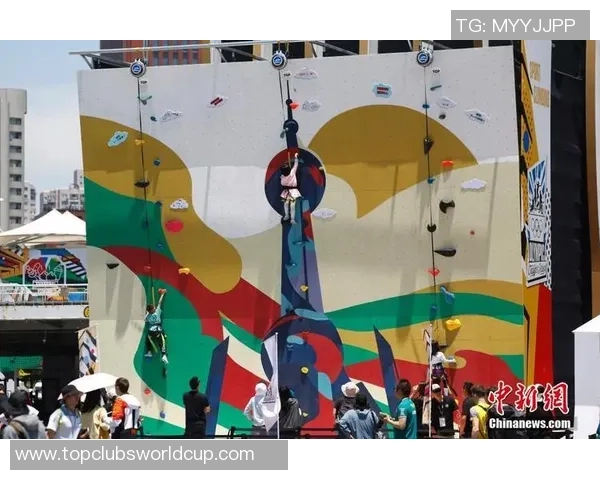 上海攀岩队协作表现分析及其对比赛成绩的影响研究