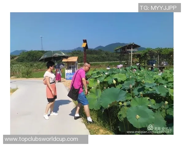 吕俊虎的传奇人生与奋斗历程探秘，启示我们追求梦想的勇气与坚持